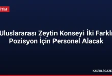 Uluslararası Zeytin Konseyi İki Farklı Pozisyon İçin Personel Alacak