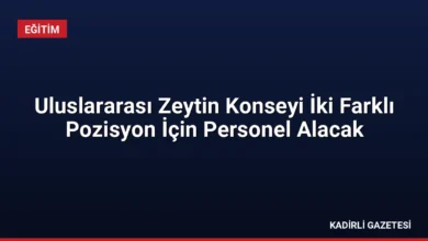Uluslararası Zeytin Konseyi İki Farklı Pozisyon İçin Personel Alacak