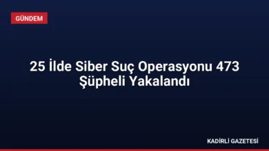 25 İlde Siber Suç Operasyonu 473 Şüpheli Yakalandı