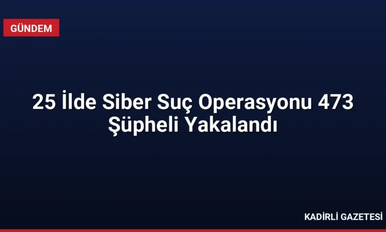 25 İlde Siber Suç Operasyonu 473 Şüpheli Yakalandı