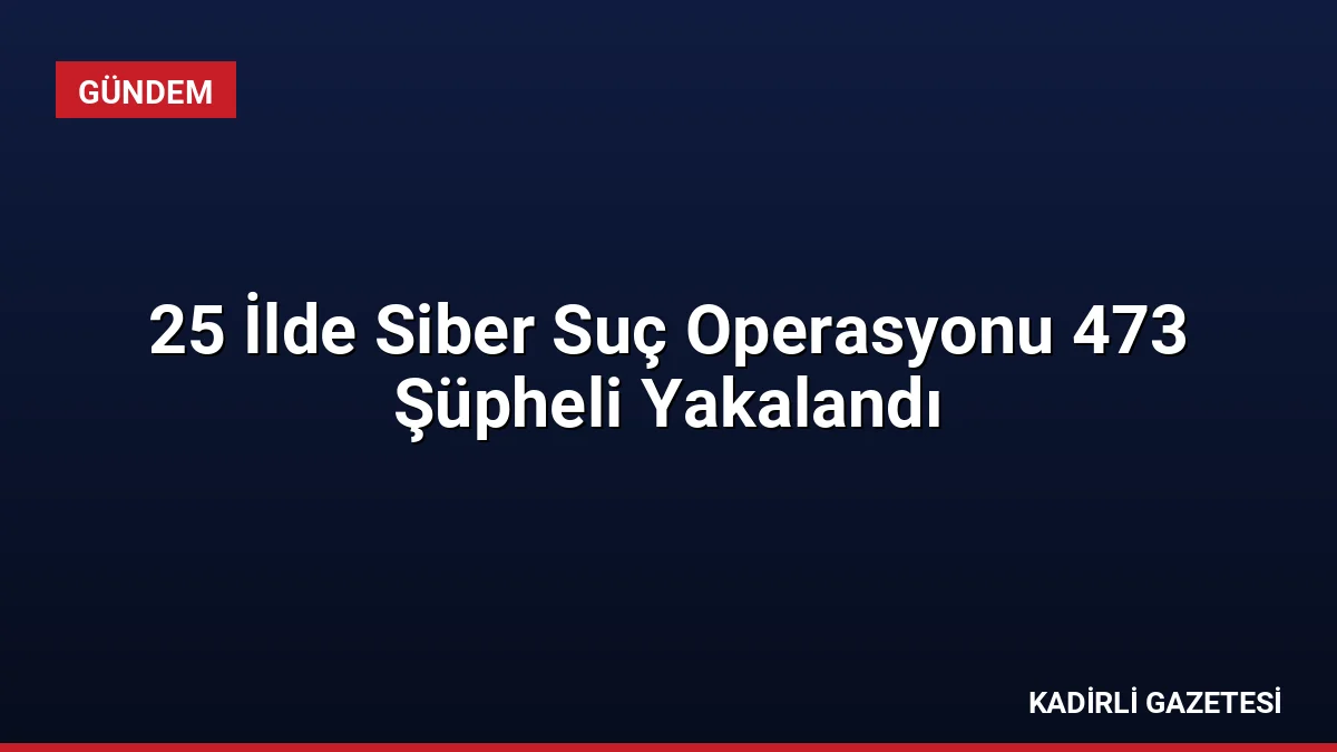 25 İlde Siber Suç Operasyonu 473 Şüpheli Yakalandı