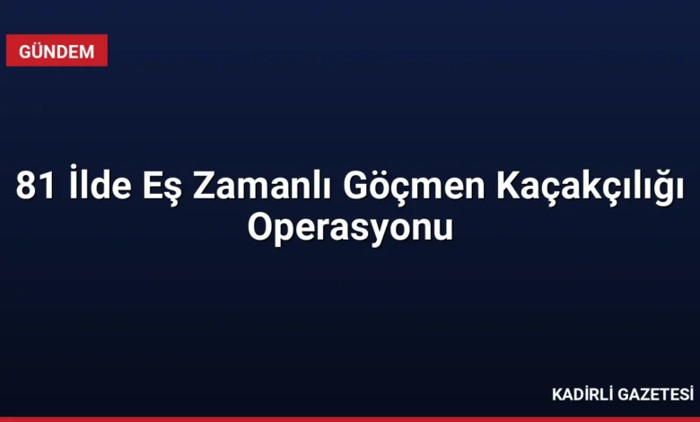 81 İlde Eş Zamanlı Göçmen Kaçakçılığı Operasyonu