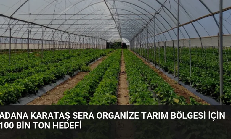 Adana Karataş Sera Organize Tarım Bölgesi İçin 100 Bin Ton Hedefi