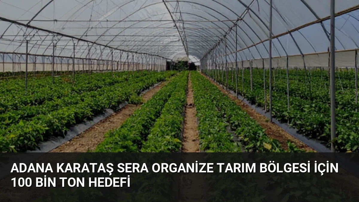 Adana Karataş Sera Organize Tarım Bölgesi İçin 100 Bin Ton Hedefi