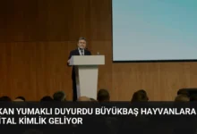 Bakan Yumaklı Duyurdu Büyükbaş Hayvanlara Dijital Kimlik Geliyor