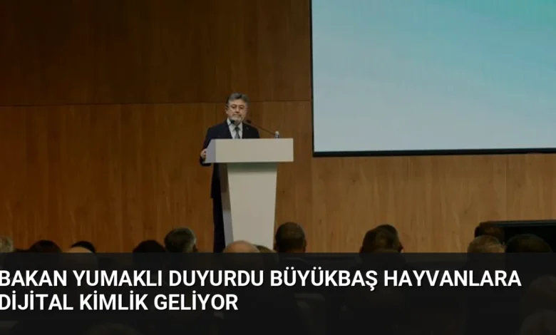 Bakan Yumaklı Duyurdu Büyükbaş Hayvanlara Dijital Kimlik Geliyor