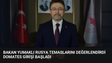 Bakan Yumaklı Rusya temaslarını değerlendirdi domates girişi başladı