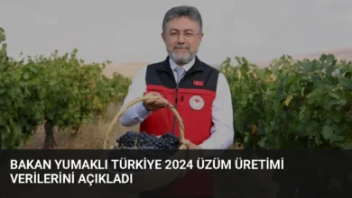 Bakan Yumaklı Türkiye 2024 Üzüm Üretimi Verilerini Açıkladı