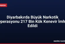 Diyarbakırda Büyük Narkotik Operasyonu 217 Bin Kök Kenevir İmha Edildi