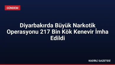 Diyarbakırda Büyük Narkotik Operasyonu 217 Bin Kök Kenevir İmha Edildi