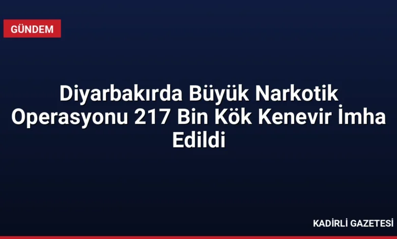 Diyarbakırda Büyük Narkotik Operasyonu 217 Bin Kök Kenevir İmha Edildi