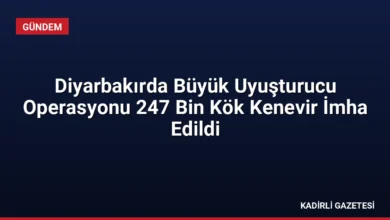 Diyarbakırda Büyük Uyuşturucu Operasyonu 247 Bin Kök Kenevir İmha Edildi