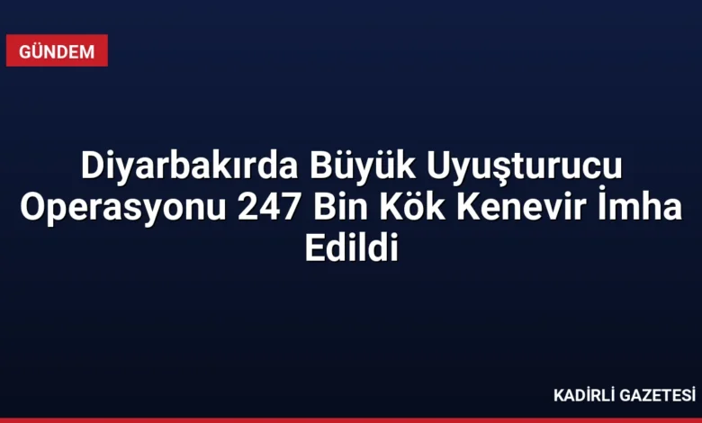 Diyarbakırda Büyük Uyuşturucu Operasyonu 247 Bin Kök Kenevir İmha Edildi