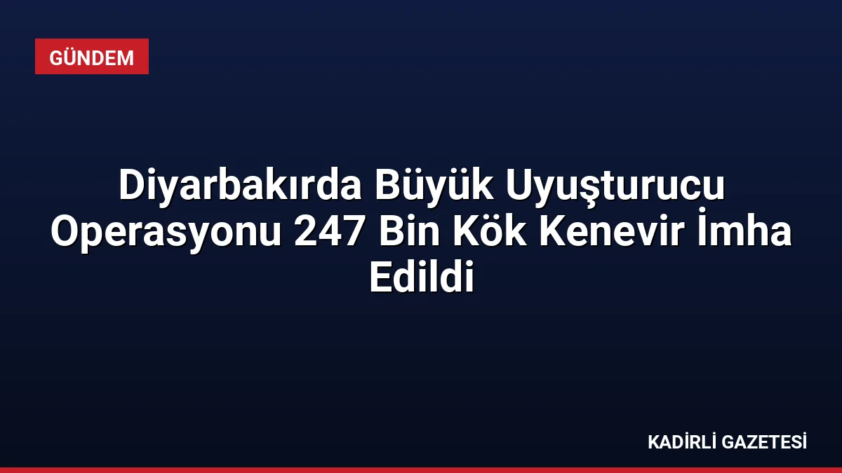 Diyarbakırda Büyük Uyuşturucu Operasyonu 247 Bin Kök Kenevir İmha Edildi