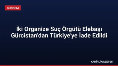 İki Organize Suç Örgütü Elebaşı Gürcistan'dan Türkiye'ye İade Edildi