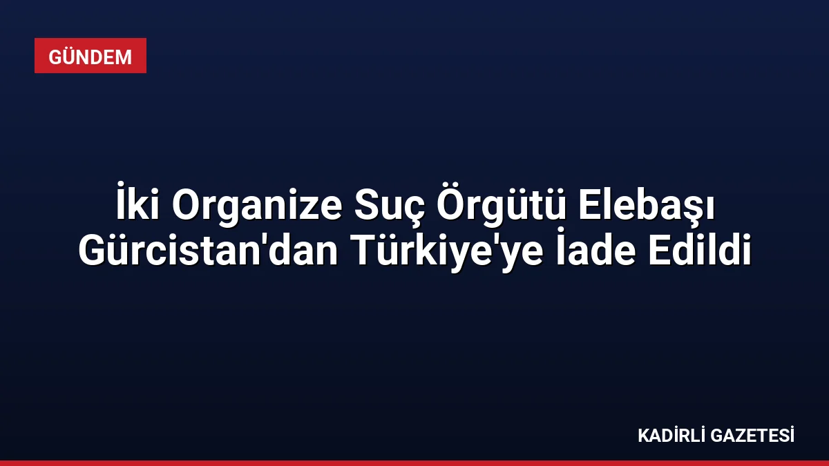 İki Organize Suç Örgütü Elebaşı Gürcistan'dan Türkiye'ye İade Edildi