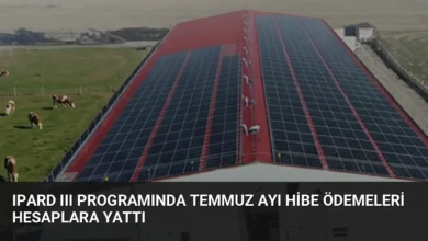 IPARD III Programında Temmuz Ayı Hibe Ödemeleri Hesaplara Yattı