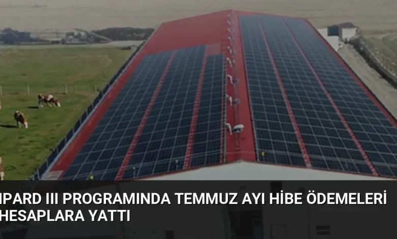 IPARD III Programında Temmuz Ayı Hibe Ödemeleri Hesaplara Yattı