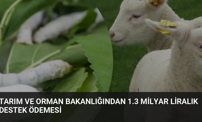 Tarım ve Orman Bakanlığından 1.3 Milyar Liralık Destek Ödemesi