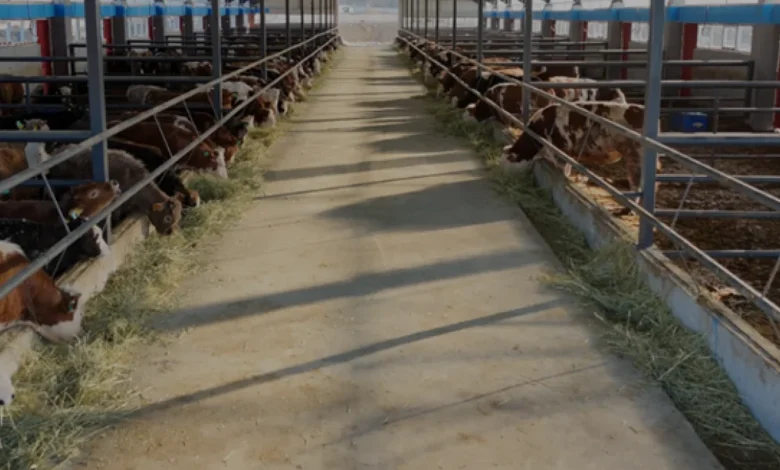 Tarım ve Orman Bakanlığından Çiftçilere 688 Milyon Liralık Destek
