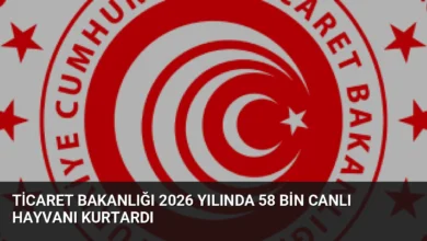 Ticaret Bakanlığı 2026 Yılında 58 Bin Canlı Hayvanı Kurtardı