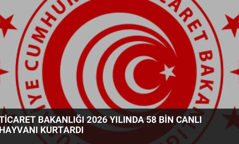 Ticaret Bakanlığı 2026 Yılında 58 Bin Canlı Hayvanı Kurtardı