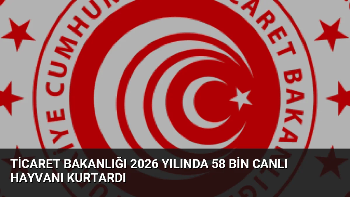 Ticaret Bakanlığı 2026 Yılında 58 Bin Canlı Hayvanı Kurtardı