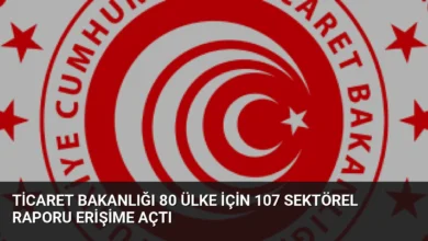 Ticaret Bakanlığı 80 Ülke İçin 107 Sektörel Raporu Erişime Açtı