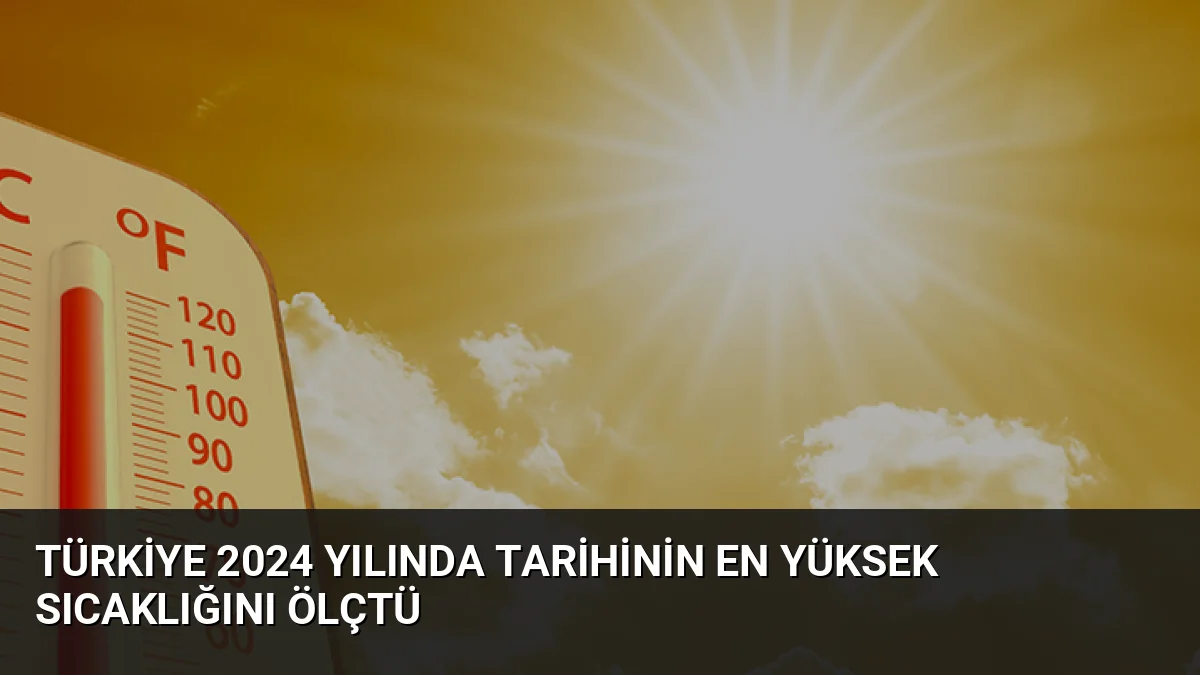 Türkiye 2024 yılında tarihinin en yüksek sıcaklığını ölçtü