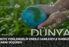 Türkiye Yenilenebilir Enerji Hamlesiyle Karbon Salımını Düşürdü