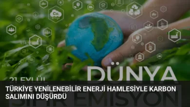 Türkiye Yenilenebilir Enerji Hamlesiyle Karbon Salımını Düşürdü