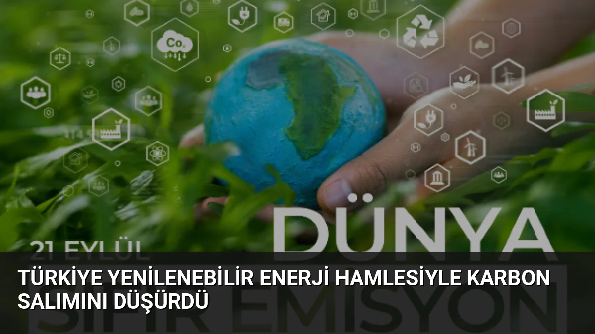Türkiye Yenilenebilir Enerji Hamlesiyle Karbon Salımını Düşürdü