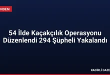 54 İlde Kaçakçılık Operasyonu Düzenlendi 294 Şüpheli Yakalandı