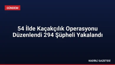 54 İlde Kaçakçılık Operasyonu Düzenlendi 294 Şüpheli Yakalandı