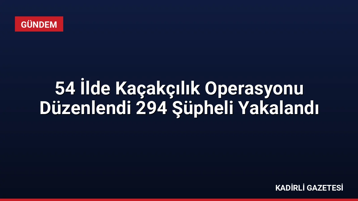54 İlde Kaçakçılık Operasyonu Düzenlendi 294 Şüpheli Yakalandı