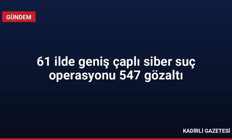 61 ilde geniş çaplı siber suç operasyonu 547 gözaltı