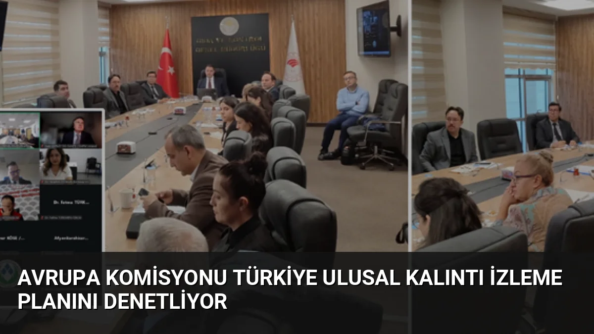 Avrupa Komisyonu Türkiye Ulusal Kalıntı İzleme Planını Denetliyor