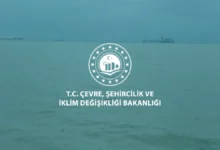 Kocaeli Sekapark sahilindeki kirliliğe neden olan firmaya ağır ceza