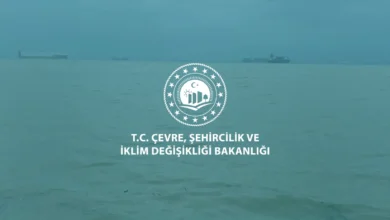 Kocaeli Sekapark sahilindeki kirliliğe neden olan firmaya ağır ceza