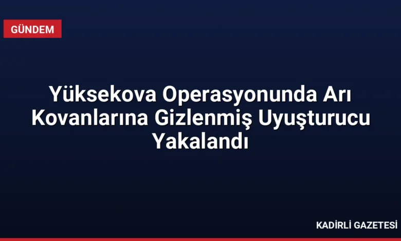 Yüksekova Operasyonunda Arı Kovanlarına Gizlenmiş Uyuşturucu Yakalandı