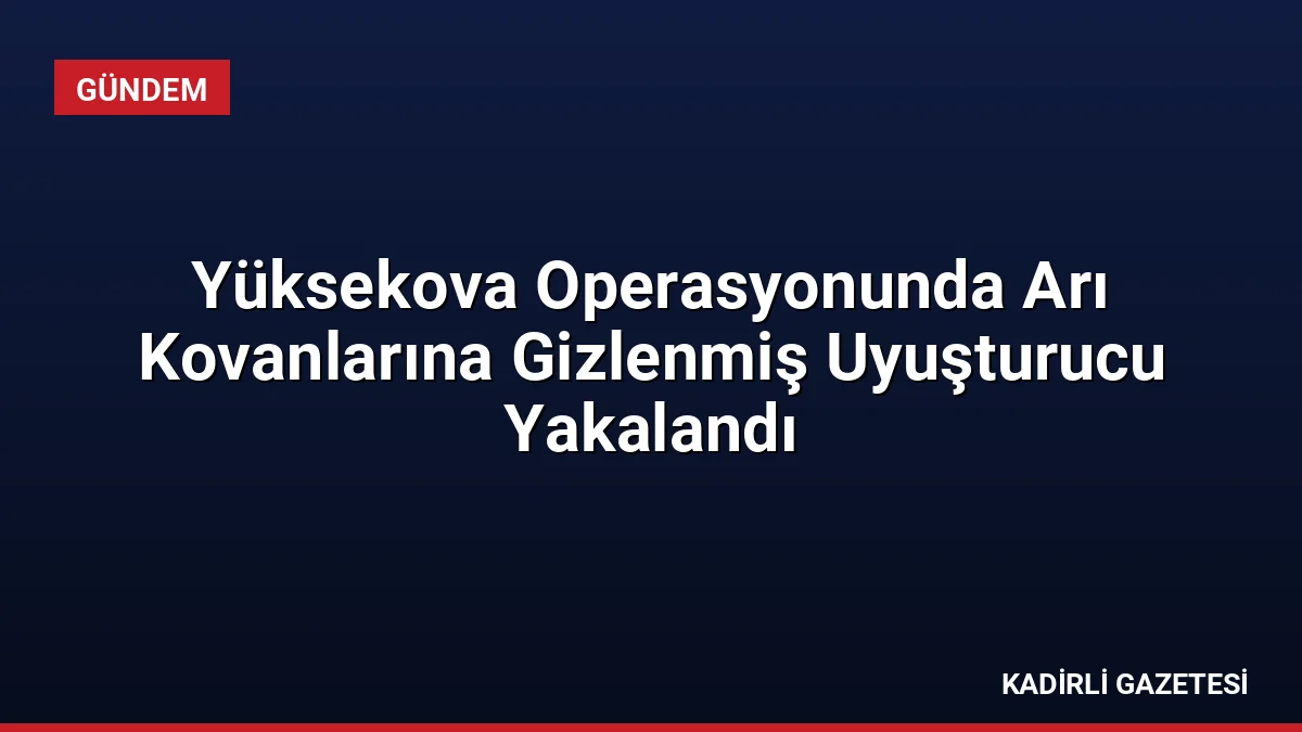 Yüksekova Operasyonunda Arı Kovanlarına Gizlenmiş Uyuşturucu Yakalandı